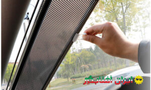 خرید عمده آفتابگیر از تولیدی